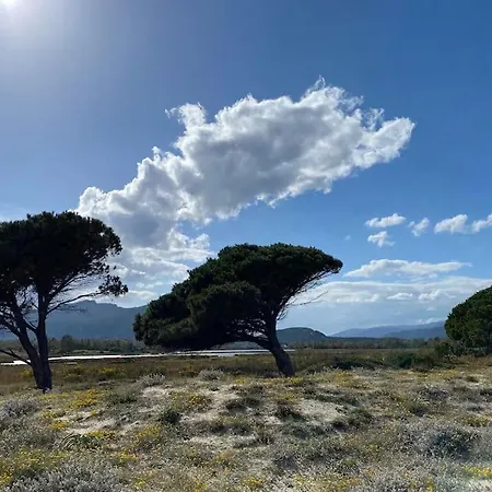 Modern Eingerichtetes In Prázdninový dům Posada (Sardinia)